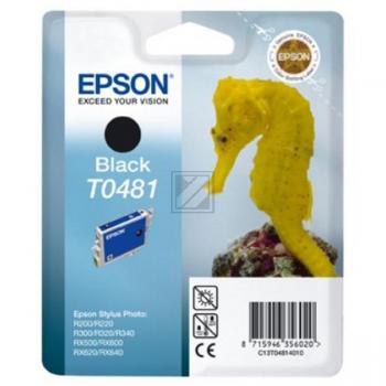 Epson T0481 black